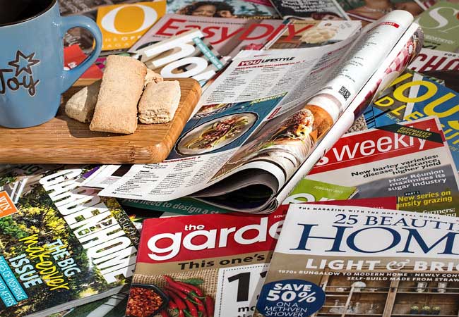 让您更安心的在线ddos网页端